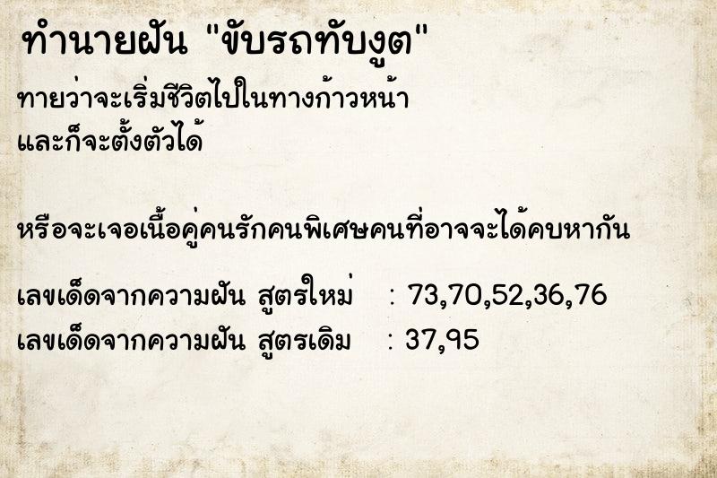 ทำนายฝันขับรถทับงูต ทำนายฝันทำนายฝันขับรถทับงูต
