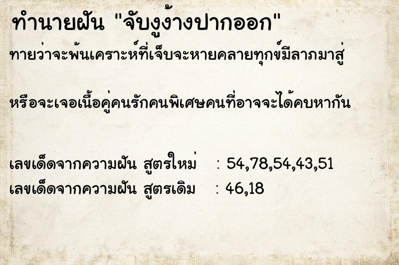 ทำนายฝันจับงูง้างปากออก ทำนายฝันทำนายฝันจับงูง้างปากออก