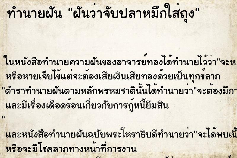 ทำนายฝันฝันว่าจับปลาหมึกใส่ถุง ทำนายฝันทำนายฝันฝันว่าจับปลาหมึกใส่ถุง