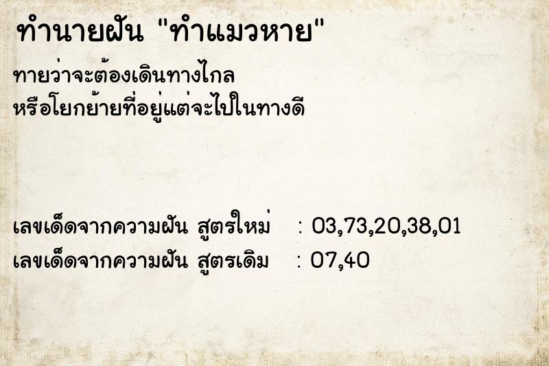 ทำนายฝันทำแมวหาย ทำนายฝันทำนายฝันทำแมวหาย