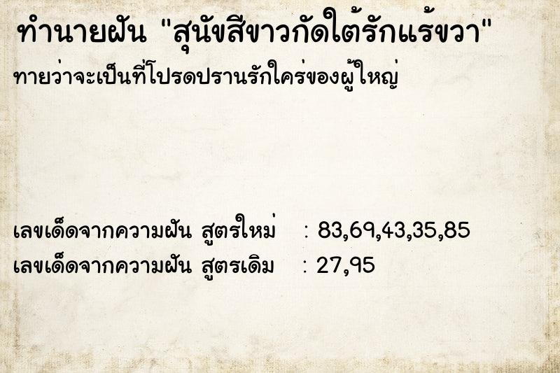 ทำนายฝันทำนายฝันสุนัขสีขาวกัดใต้รักแร้ขวา