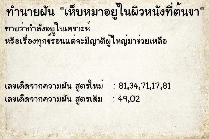 ทำนายฝันทำนายฝันเห็บหมาอยู่ในผิวหนังที่ต้นขา