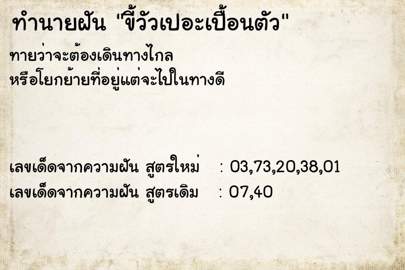 ทำนายฝันขี้วัวเปอะเปื้อนตัว ทำนายฝันทำนายฝันขี้วัวเปอะเปื้อนตัว