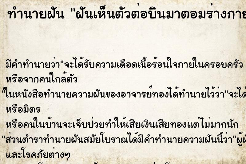 ทำนายฝัน ฝันเห็นตัวต่อบินมาตอมร่างกายแต่ไม่ต่อย ตำราโบราณ แม่นที่สุดในโลก