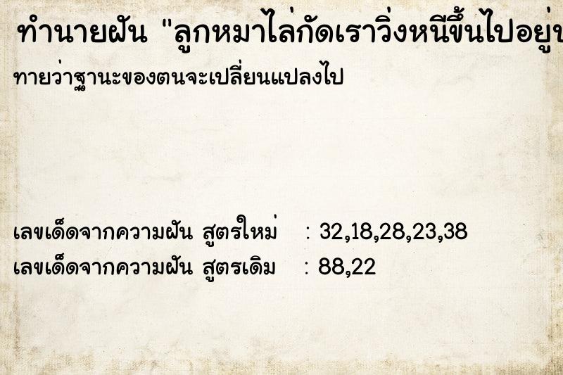 ทำนายฝันทำนายฝันลูกหมาไล่กัดเราวิ่งหนีขึ้นไปอยู่บนที่สูง