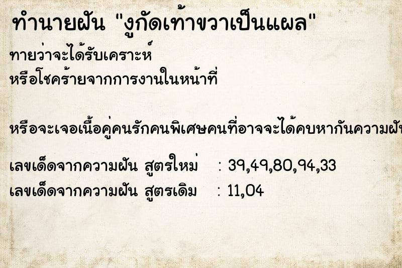 ทำนายฝัน งูกัดเท้าขวาเป็นแผล แม่นๆ ฟรี ด้วยตำราหนังสือทำนายฝันโบราณ ทำนายฝันงูกัดเท้าขวาเป็นแผล