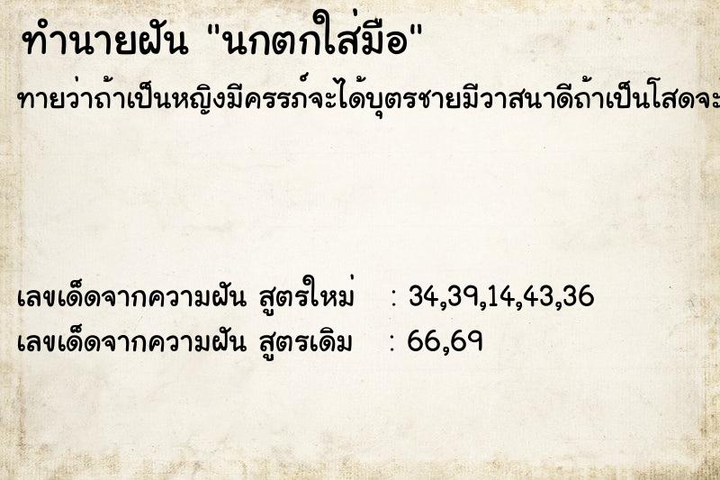 ทำนายฝันนกตกใส่มือ ทำนายฝันทำนายฝันนกตกใส่มือ