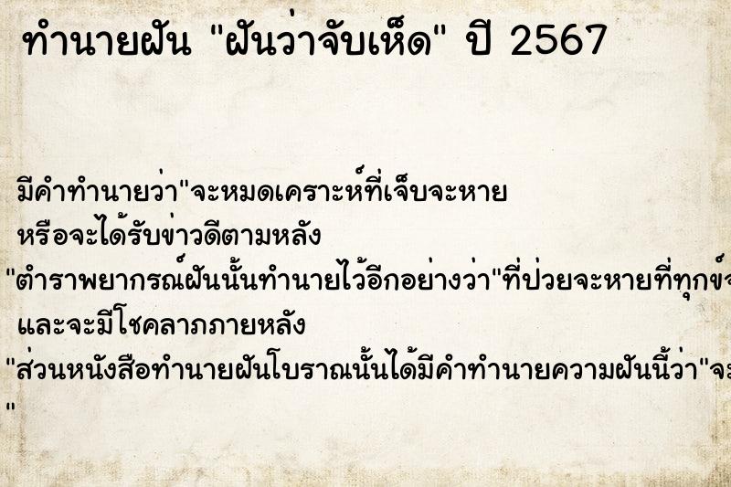 ทำนายฝัน ฝันว่าจับเห็ด ทำนายฝัน ฝันว่าจับเห็ด