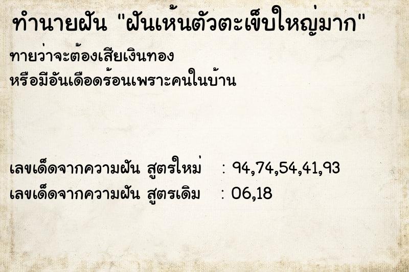 ทำนายฝันทำนายฝันฝันเห้นตัวตะเข็บใหญ่มาก