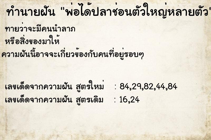 ทำนายฝันทำนายฝันพ่อได้ปลาช่อนตัวใหญ่หลายตัว