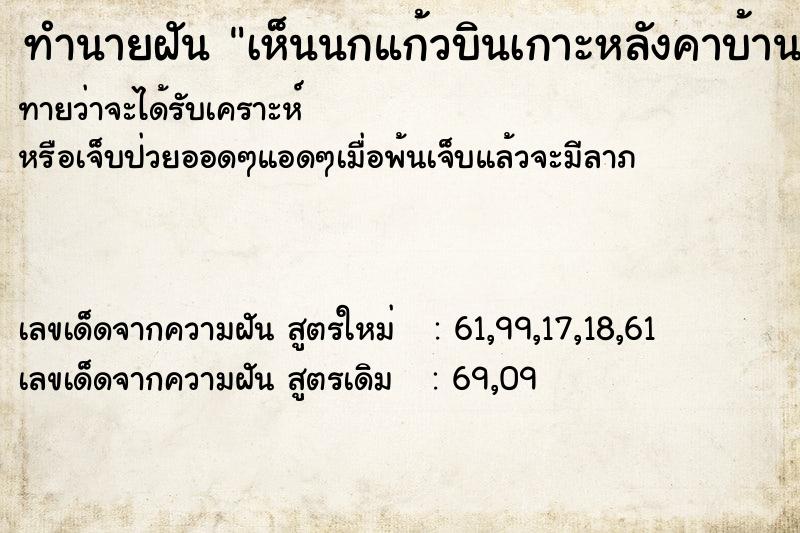 ทำนายฝัน เห็นนกแก้วบินเกาะหลังคาบ้าน ทำนายฝัน เห็นนกแก้วบินเกาะหลังคาบ้าน