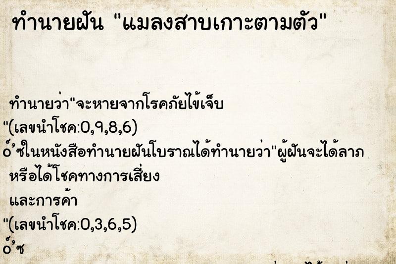 ทำนายฝันทำนายฝันแมลงสาบเกาะตามตัว