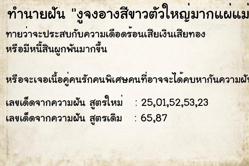 ทำนายฝันงูจงอางสีขาวตัวใหญ่มากแผ่แม่เบี้ย ทำนายฝันทำนายฝันงูจงอางสีขาวตัวใหญ่มากแผ่แม่เบี้ย