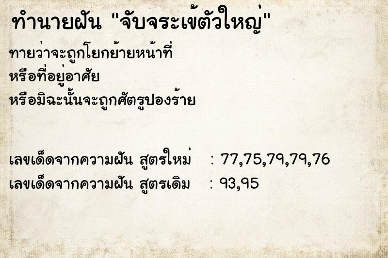 ทำนายฝันทำนายฝันจับจระเข้ตัวใหญ่