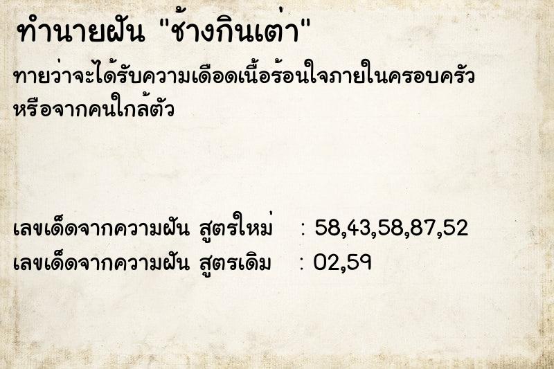ทำนายฝันทำนายฝันช้างกินเต่า
