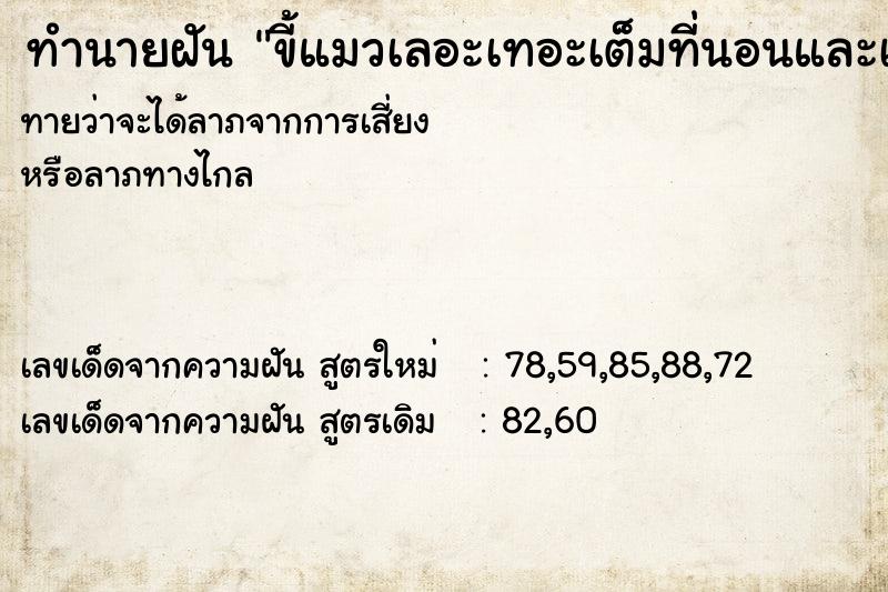 ทำนายฝัน ขี้แมวเลอะเทอะเต็มที่นอนและเต็มตัว ทำนายฝัน ขี้แมวเลอะเทอะเต็มที่นอนและเต็มตัว