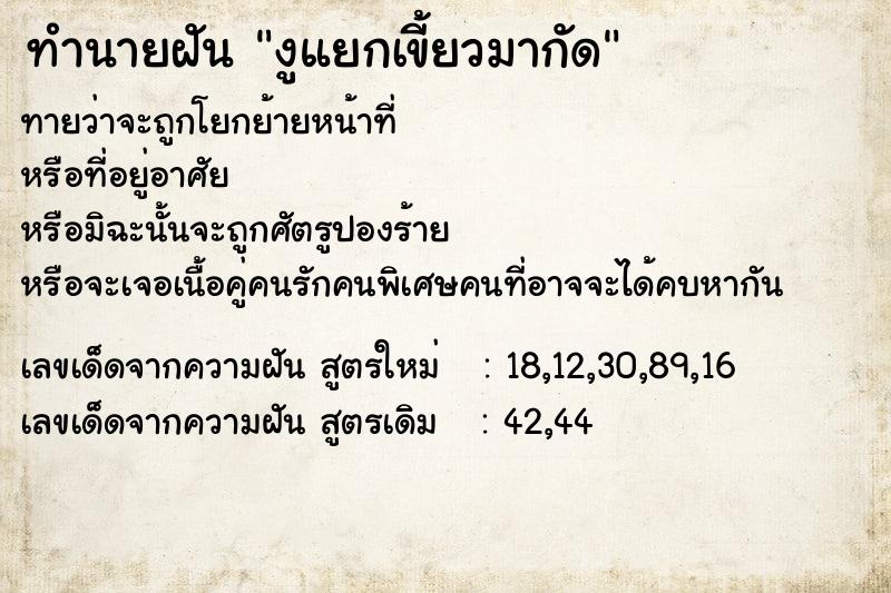 ทำนายฝันทำนายฝันงูแยกเขี้ยวมากัด