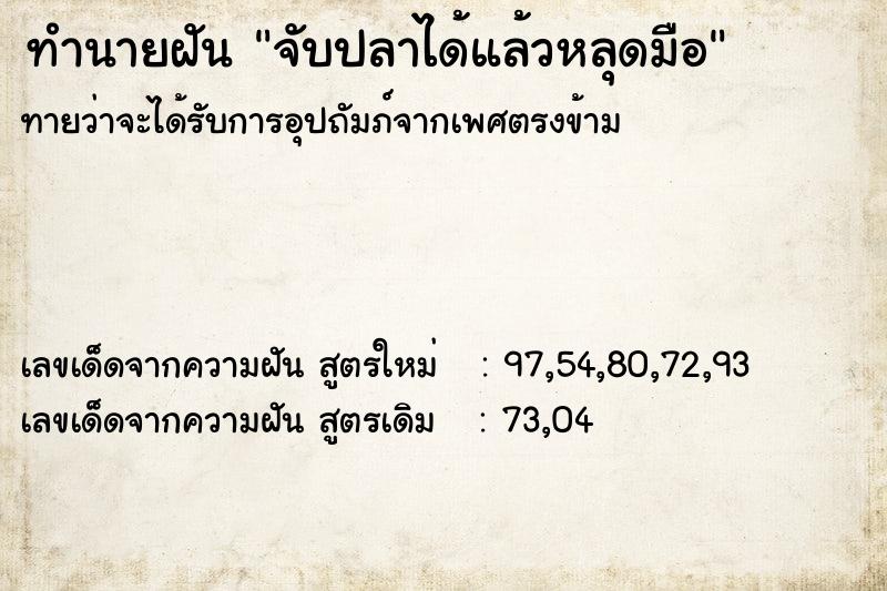 ทำนายฝันจับปลาได้แล้วหลุดมือ ทำนายฝันทำนายฝันจับปลาได้แล้วหลุดมือ