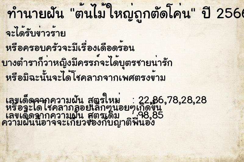 ทำนายฝัน ต้นไม้ใหญ่ถูกตัดโค่น แม่นๆ ฟรี ด้วยตำราหนังสือทำนายฝันโบราณ ทำนายฝันต้นไม้ใหญ่ถูกตัดโค่น