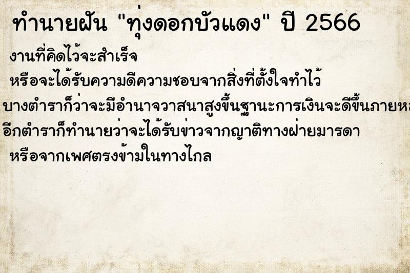 ทำนายฝันทุ่งดอกบัวแดง ทำนายฝันทำนายฝันทุ่งดอกบัวแดง