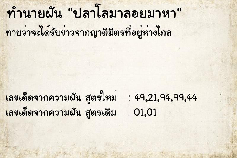 ทำนายฝันปลาโลมาลอยมาหา ทำนายฝันทำนายฝันปลาโลมาลอยมาหา
