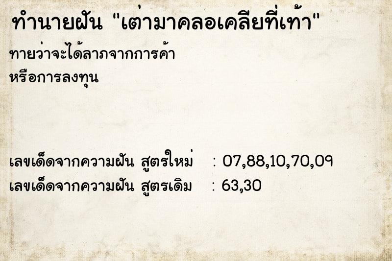 ทำนายฝันทำนายฝันเต่ามาคลอเคลียที่เท้า