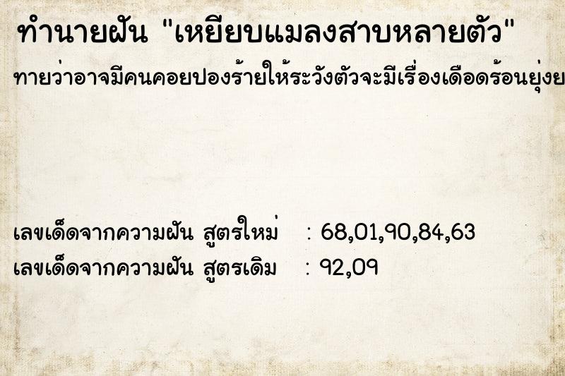 ทำนายฝันทำนายฝันเหยียบแมลงสาบหลายตัว