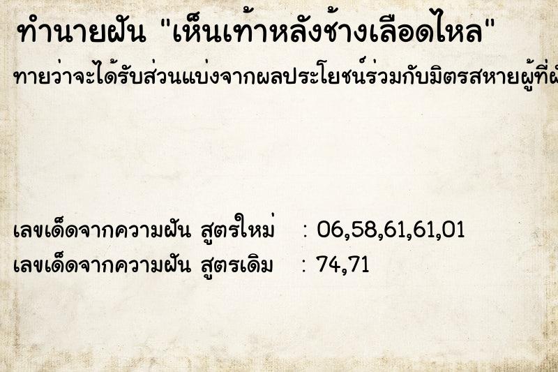 ทำนายฝันทำนายฝันเห็นเท้าหลังช้างเลือดไหล