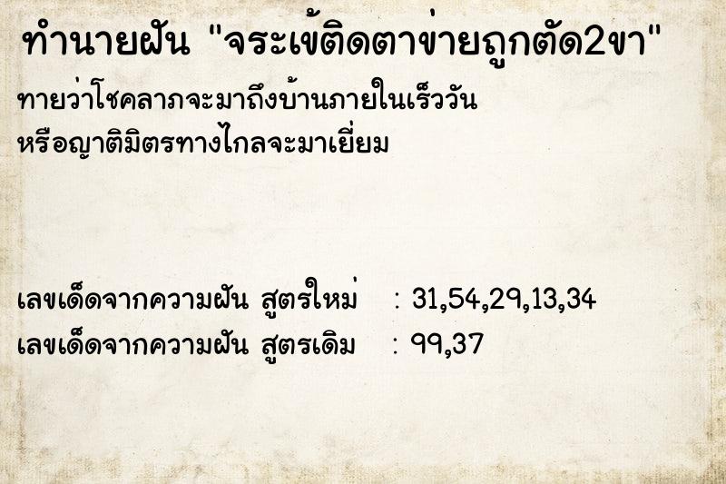 ทำนายฝันจระเข้ติดตาข่ายถูกตัด2ขา ทำนายฝันทำนายฝันจระเข้ติดตาข่ายถูกตัด2ขา