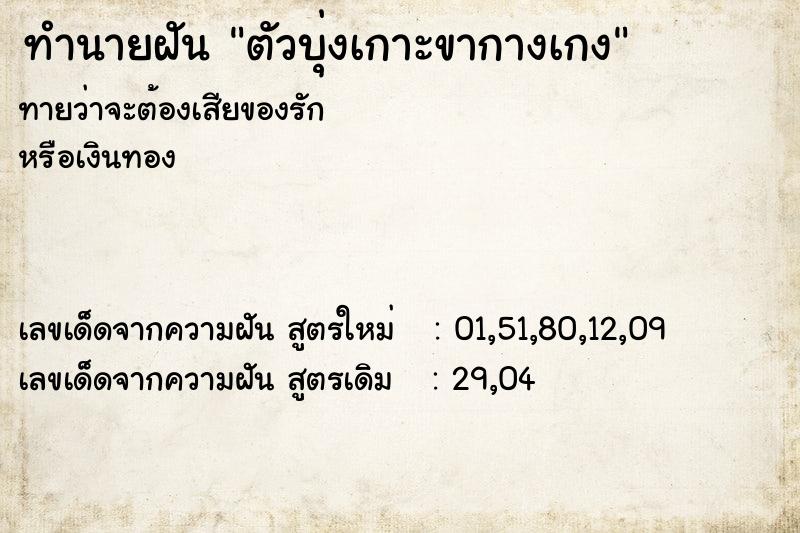 ทำนายฝันตัวบุ่งเกาะขากางเกง ทำนายฝันทำนายฝันตัวบุ่งเกาะขากางเกง