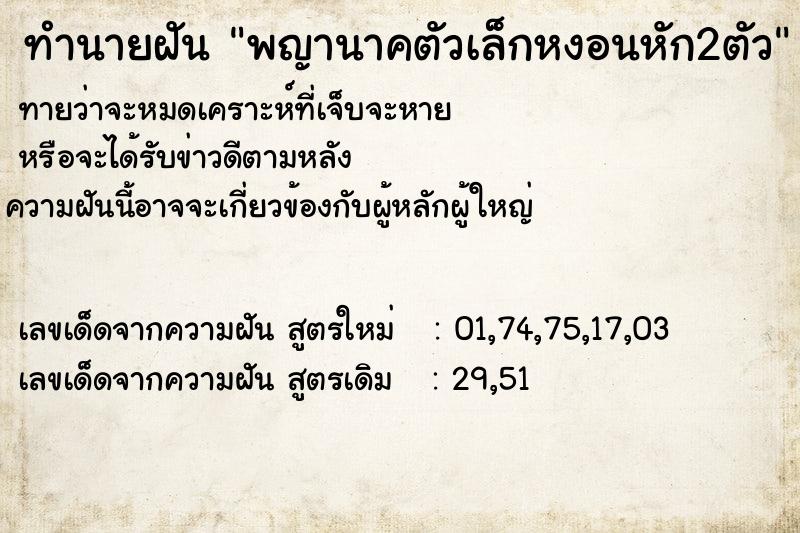 ทำนายฝัน พญานาคตัวเล็กหงอนหัก2ตัว ทำนายฝัน พญานาคตัวเล็กหงอนหัก2ตัว