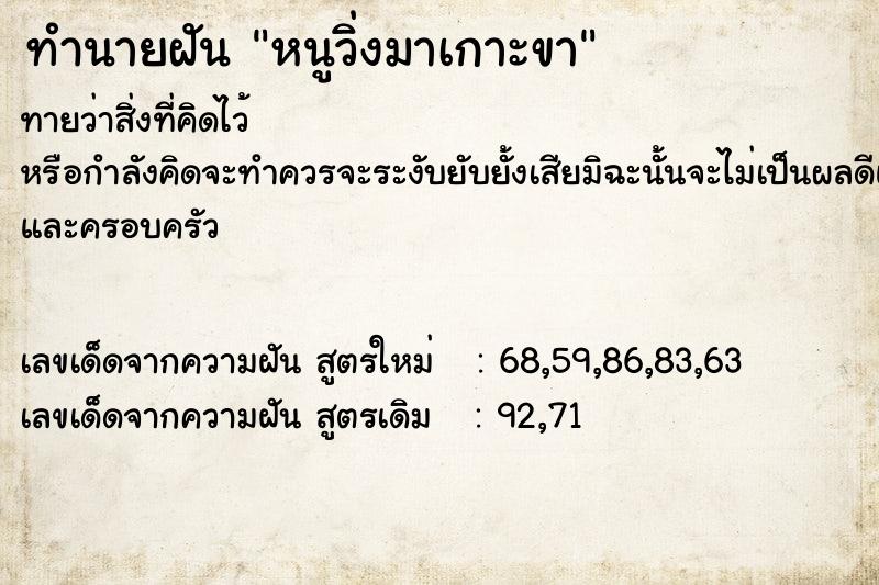 ทำนายฝันทำนายฝันหนูวิ่งมาเกาะขา
