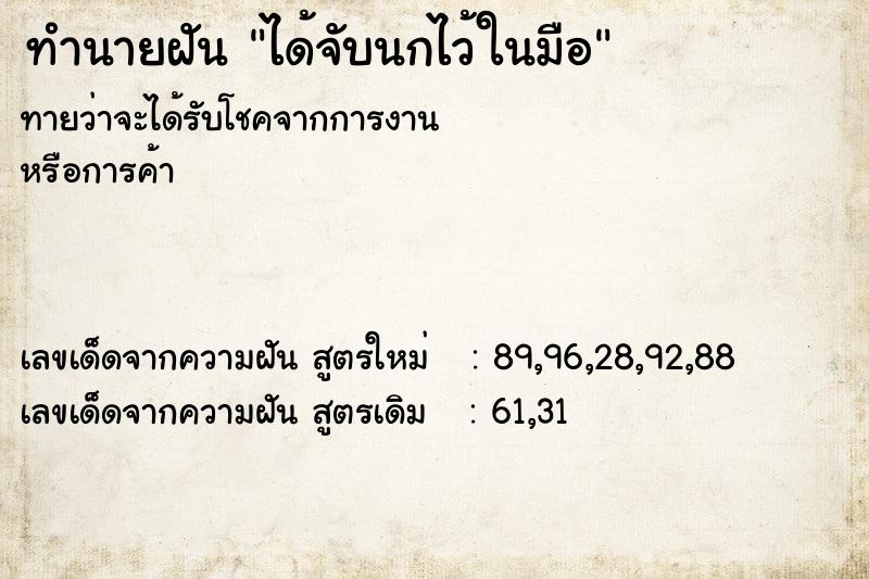 ทำนายฝันทำนายฝันได้จับนกไว้ในมือ