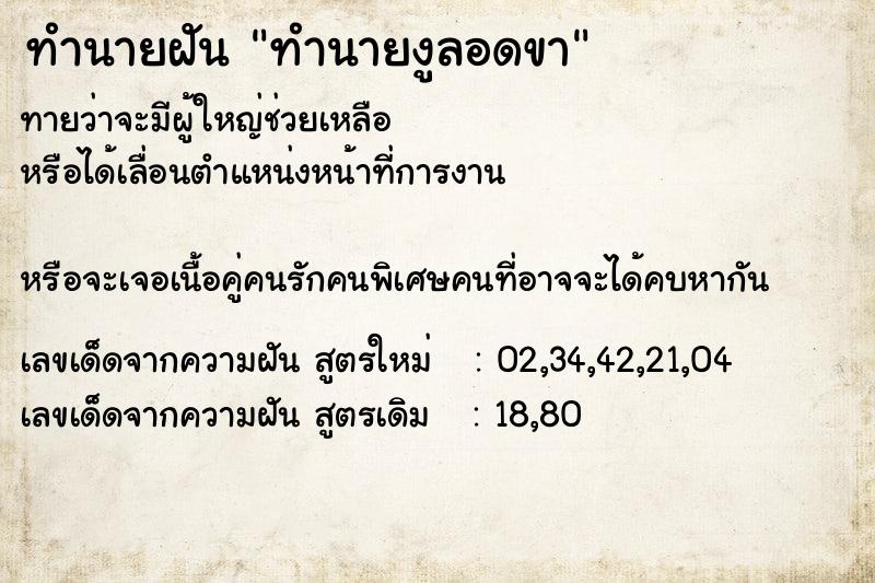 ทำนายฝันทำนายงูลอดขา ทำนายฝันทำนายฝันทำนายงูลอดขา