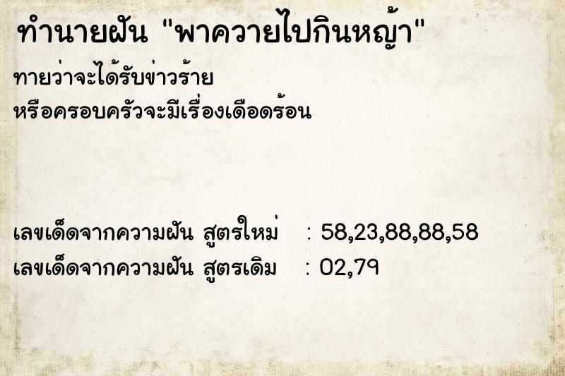 ทำนายฝันพาควายไปกินหญ้า ทำนายฝันทำนายฝันพาควายไปกินหญ้า
