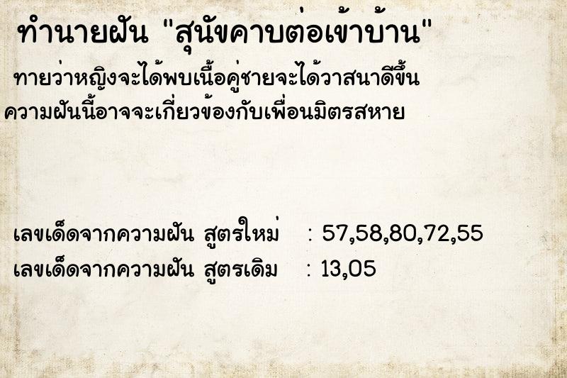 ทำนายฝันสุนัขคาบต่อเข้าบ้าน ทำนายฝันทำนายฝันสุนัขคาบต่อเข้าบ้าน