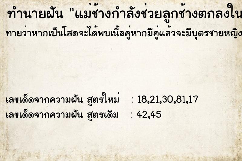 ทำนายฝันทำนายฝันแม่ช้างกำลังช่วยลูกช้างตกลงในถ้ำ