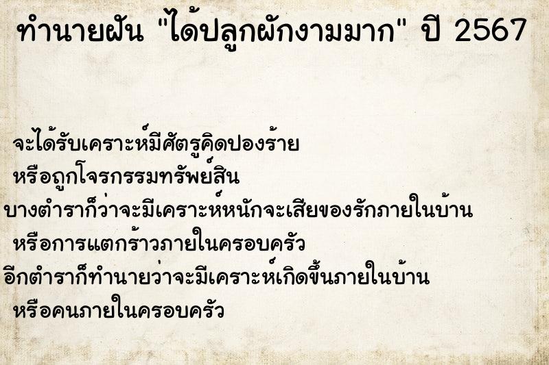 ทำนายฝันทำนายฝันได้ปลูกผักงามมาก
