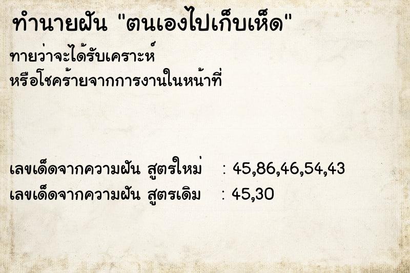 ทำนายฝันทำนายฝันตนเองไปเก็บเห็ด