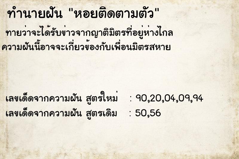 ทำนายฝันหอยติดตามตัว ทำนายฝันทำนายฝันหอยติดตามตัว