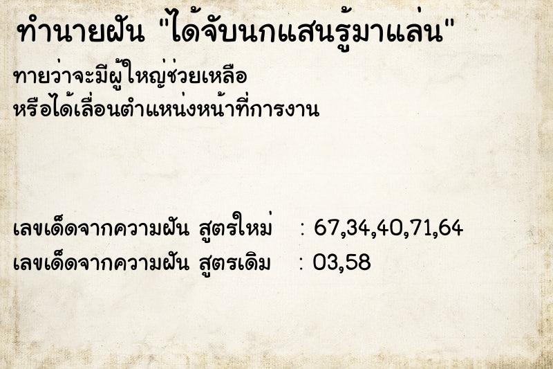 ทำนายฝันทำนายฝันได้จับนกแสนรู้มาแล่น