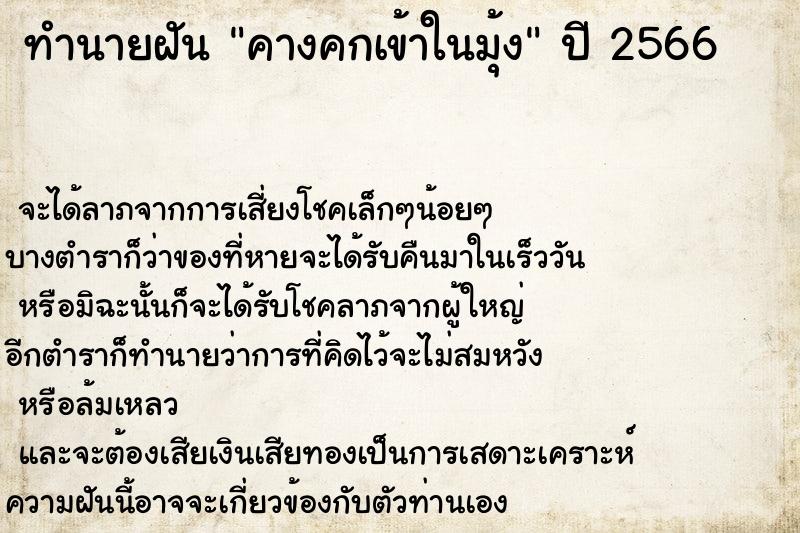 ทำนายฝันทำนายฝันคางคกเข้าในมุ้ง