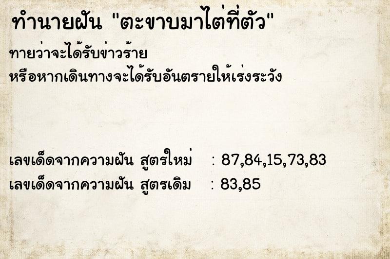 ทำนายฝันตะขาบมาไต่ที่ตัว ทำนายฝันทำนายฝันตะขาบมาไต่ที่ตัว