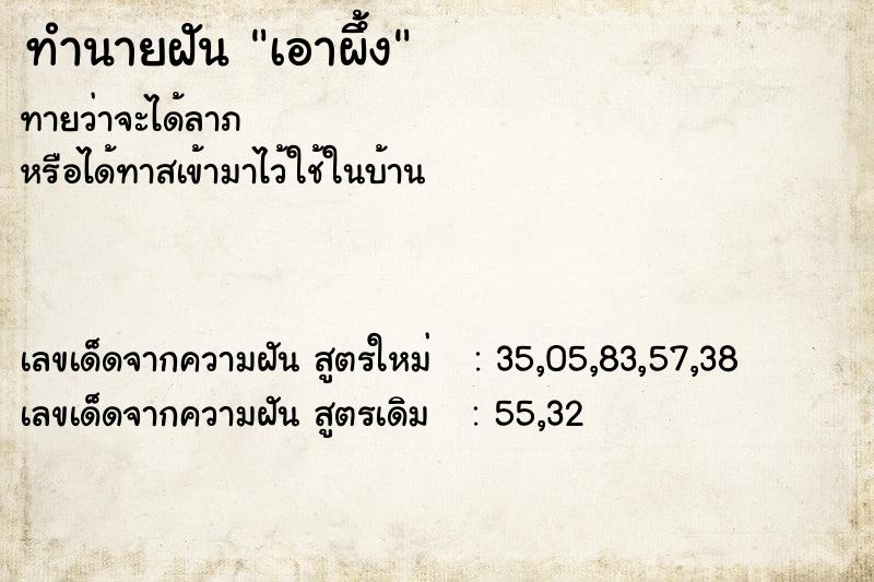 ทำนายฝันทำนายฝันเอาผึ้ง