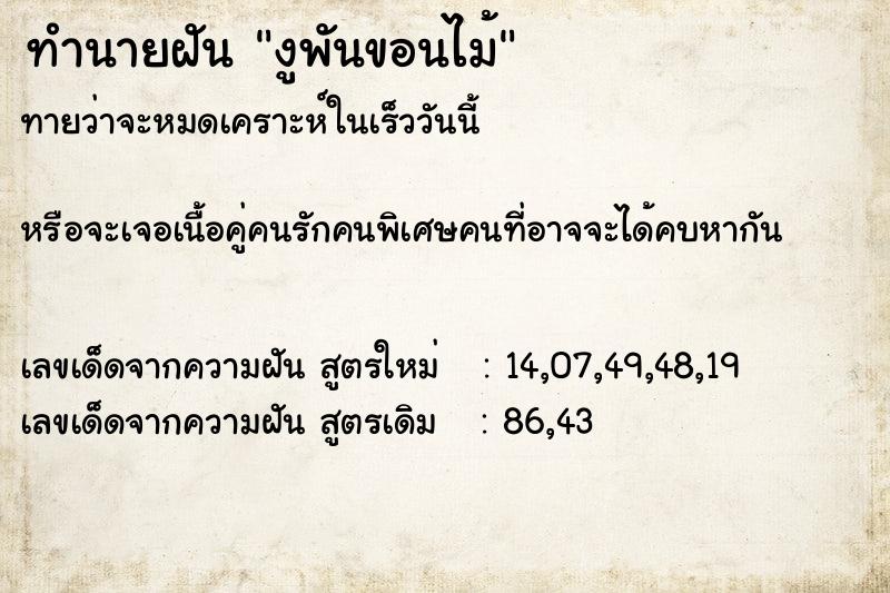 ทำนายฝันงูพันขอนไม้ ทำนายฝันทำนายฝันงูพันขอนไม้