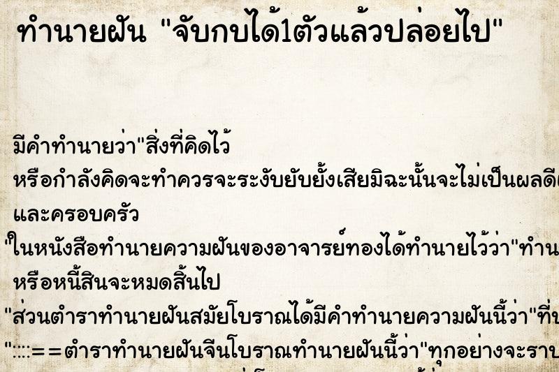 ทำนายฝัน จับกบได้1ตัวแล้วปล่อยไป ตำราโบราณ แม่นที่สุดในโลก