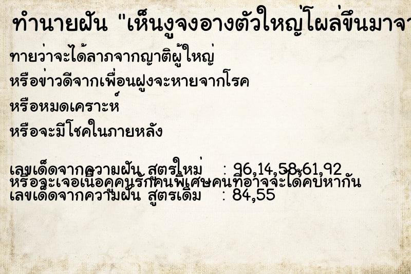 ทำนายฝันทำนายฝันเห็นงูจงอางตัวใหญ่โผล่ขึนมาจากพื้นดิน