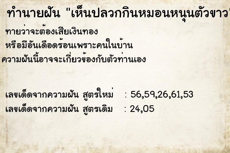 ทำนายฝันทำนายฝันเห็นปลวกกินหมอนหนุนตัวขาว