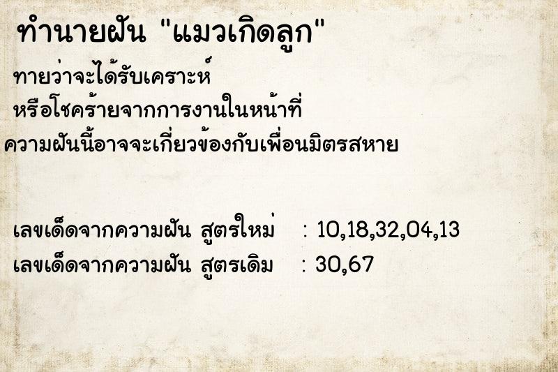 ทำนายฝัน แมวเกิดลูก