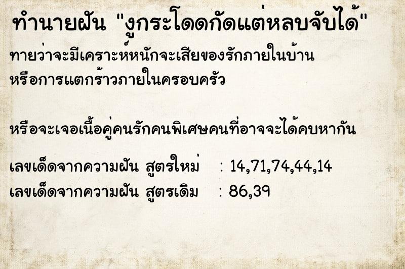 ทำนายฝันทำนายฝันงูกระโดดกัดแต่หลบจับได้